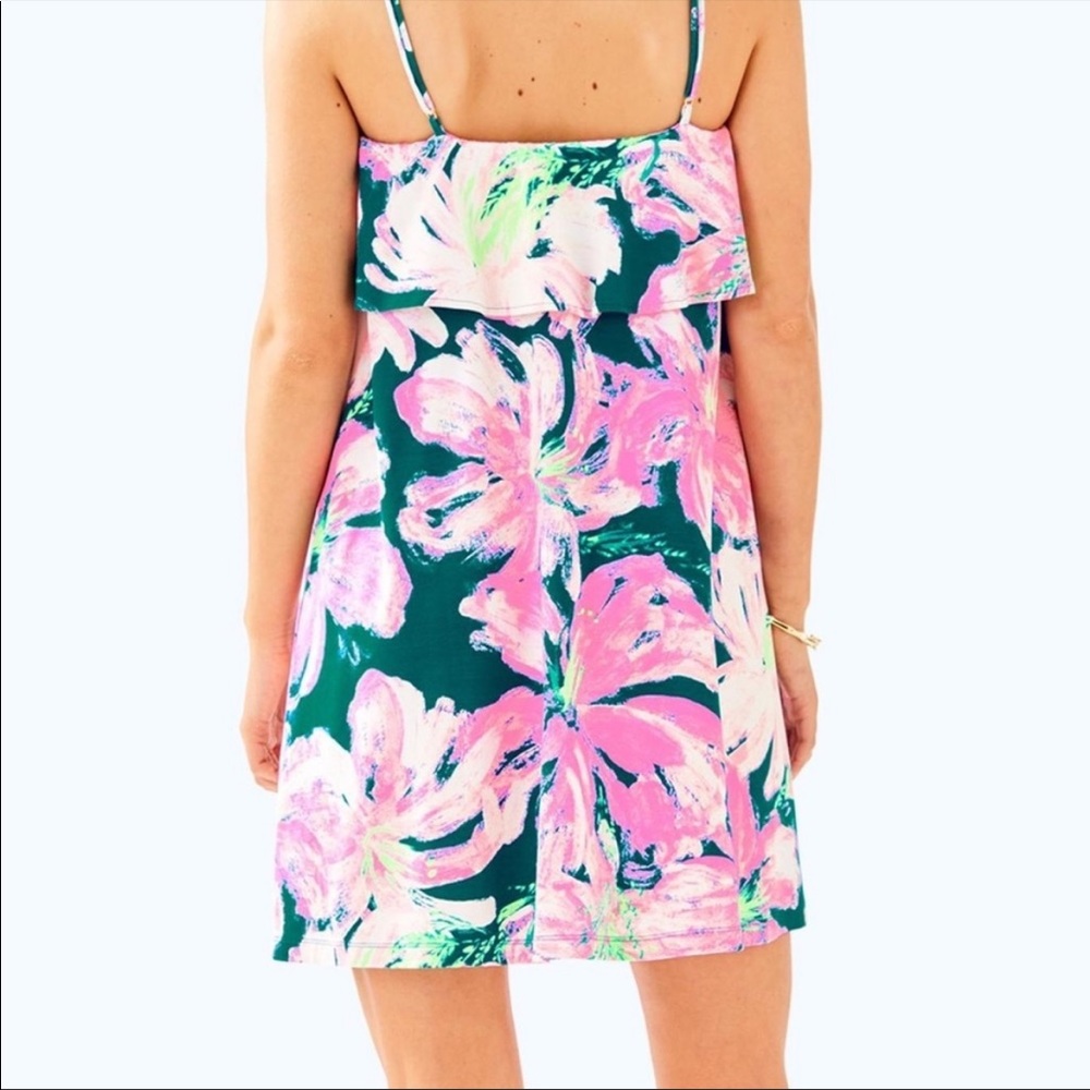 Lilly Pulitzer Anastasia Dress - image 2